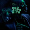 Red Ants Bite