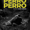 Perro Perro