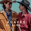 Agaves al alba