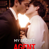 My Secret Agent Husband