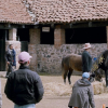 Pornomelancolía