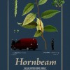 Hornbeam