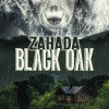 Záhada Black Oak