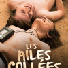 Les ailes collées