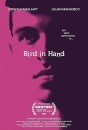 Bird in Hand ()
