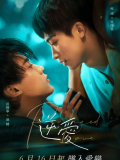 Revenged Love