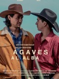 Agaves al alba
