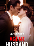 My Secret Agent Husband
