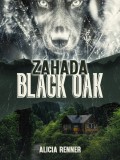 Záhada Black Oak