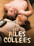Les ailes collées