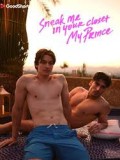 Sneak Me in Your Closet My Prince (2025)