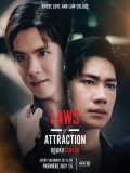Laws of Attraction