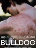 Bulldog