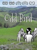 Odd Bird