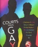 Courts mais GAY: Tome 5  (2003)