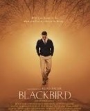 Blackbird  (2014)