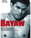 Bayaw / Brothers in Law  (2009)
