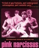 Pink Narcissus  (1971)