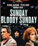 Sunday Bloody Sunday / Mizerná neděle  (1971)