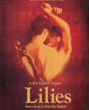 Lilies - Les feluettes