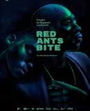 Red Ants Bite