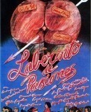 Laberinto de pasiones / Labyrint vášní  (1982)