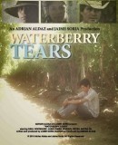 waterberry tears portada0.jpg