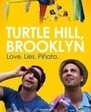 turtle_hill_brooklyn.jpg