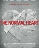The Normal Heart / Stejná srdce  (2014)