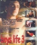 Boys Life 3  (2000)