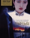 Ba wang bie ji / Sbohem, má konkubíno  (1993)