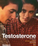 Testosterone: Volume 2  (2018)