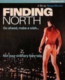 Finding North  (1998)