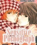 Sensitive Pornograph  (2004)