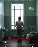 Elephant Song / Sloní píseň  (2014)