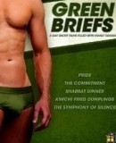 Green Briefs  (2013)