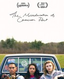 The Miseducation of Cameron Post  (2018)