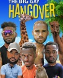 The Big Gay Hangover  (2017)