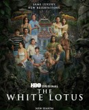 The White Lotus / Bílý lotos