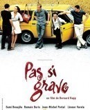 Pas si grave / No Big Deal / Není to tak vážné  (2003)