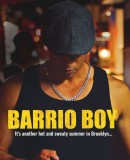 Barrio Boy II