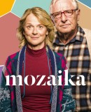 Mozaika