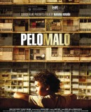 Pelo malo / Příšerný vlasy  (2013)