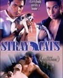 Mga pusang gala / Stray Cats  (2005)