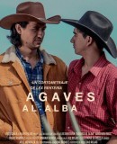 Agaves al alba
