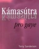 Kámasútra pro gaye (Sanderson Terry)