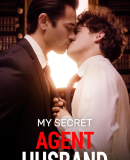 My Secret Agent Husband