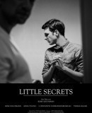 Little Secrets  (2014)