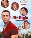 Mr. Right  (2009)