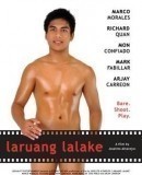 Laruang lalake / Boy toys  (2010)